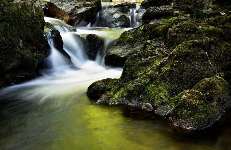Enchanted Springs