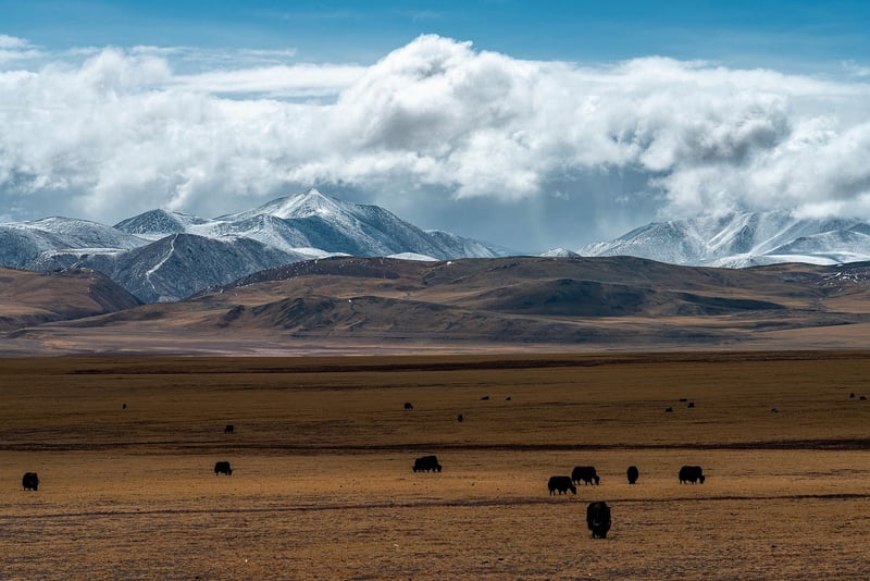 Mount Kailash, Tibet